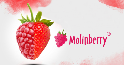 Molinberry