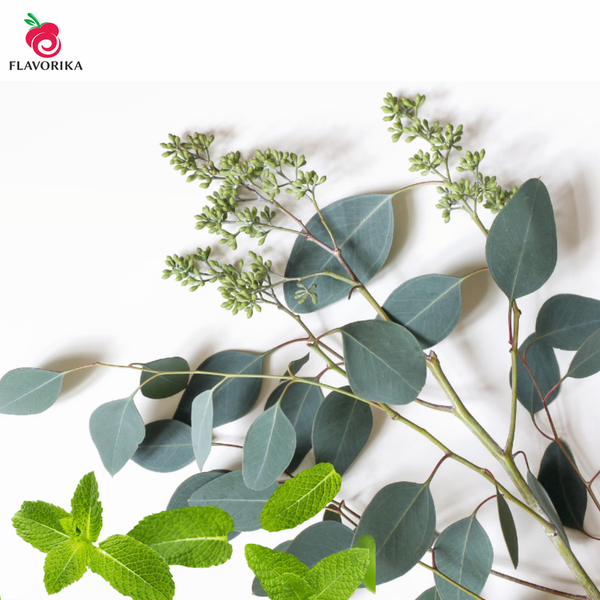 Inawera - Eucalyptus With Mint