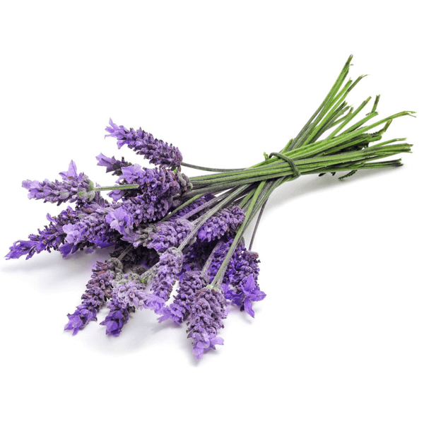 FlavourArt - Lavender