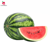 Inawera - Watermelon