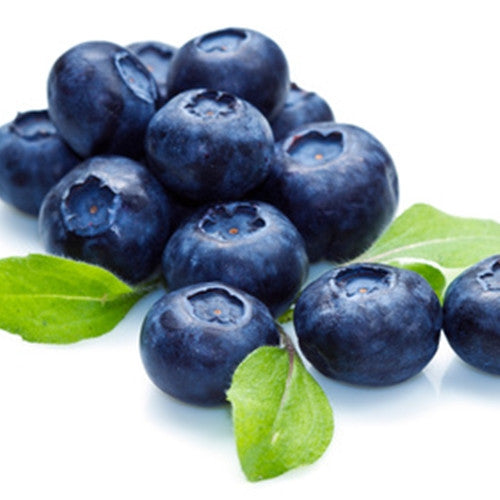TFA Blueberry (Extra)