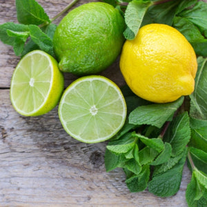 The Flavor Apprentice - Lemon Lime