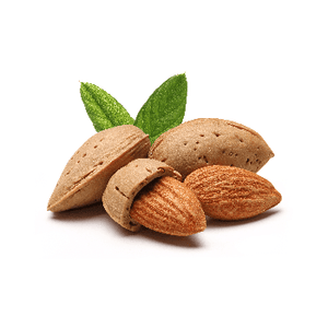 FlavourArt - Almond
