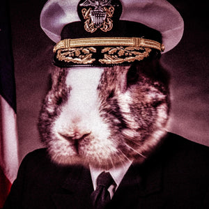VE Legacy - Admiral V.